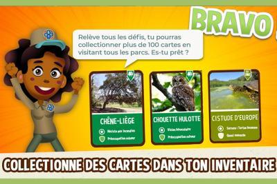 Image Application - Agrandir l'image 1 sur 4, fenêtre modale