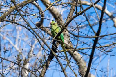 Parc de Vaugrenier - Agrandir l'image 3 sur 5, fenêtre modale