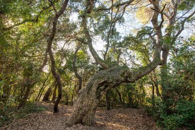Parc de Vaugrenier - Agrandir l'image 1 sur 5, fenêtre modale