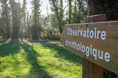 Parc de Vaugrenier - Agrandir l'image 5 sur 5, fenêtre modale